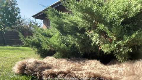 patry333 free recording from 2025-10-29 10:29:00