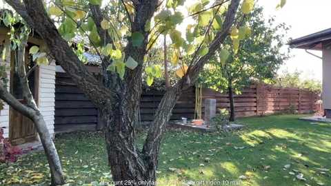 patry333 free recording from 2025-10-29 12:45:00