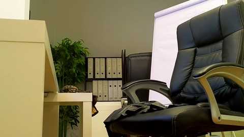 babesgowild free recording from 2025-10-30 08:29:00