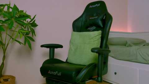 shywetnameless free recording from 2025-10-30 05:44:00