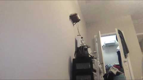 bansam1738 free recording from 2025-10-31 08:43:00