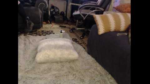 roadsideattraction free recording from 2025-10-31 05:42:00