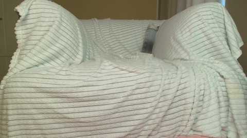 squikt free recording from 2025-11-02 08:05:00