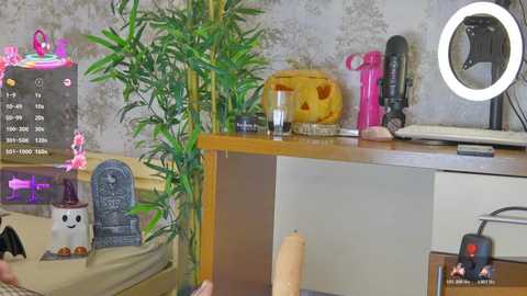 yourburnwish free recording from 2025-11-02 03:51:00