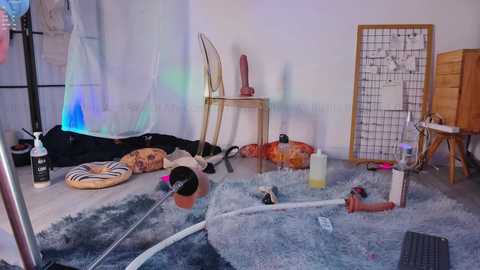 mollyflwers free recording from 