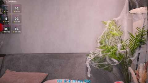 pamelaryant free recording from 2025-11-04 06:25:00