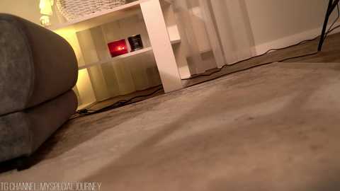 eli_journey free recording from 2025-11-05 01:50:00