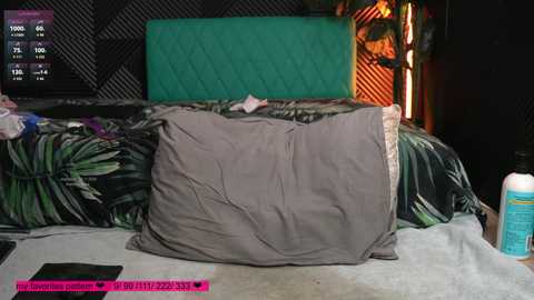 homehornyeva free recording from 2025-11-05 08:14:00