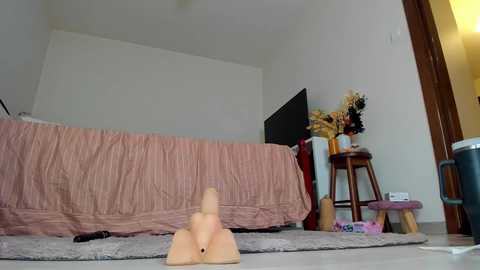 jennywildd free recording from 2025-11-05 16:35:00