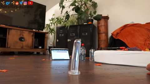 serareads free recording from 