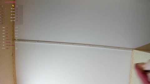 skinny_anitta free recording from 