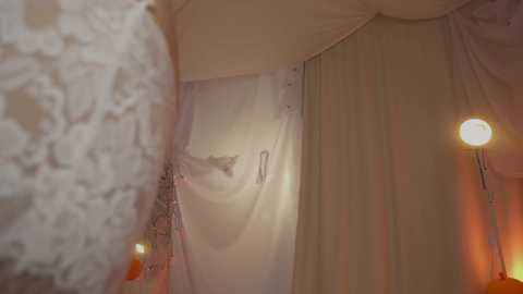 sunny_maria free recording from 