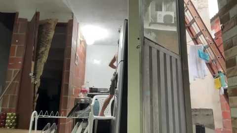 dcollins_ free recording from 2025-11-06 11:55:00