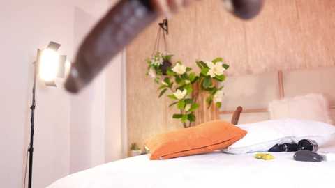 ana_maria11 free recording from 2025-11-09 09:40:00