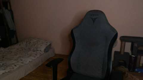 _purrari free recording from 2025-11-10 03:06:00