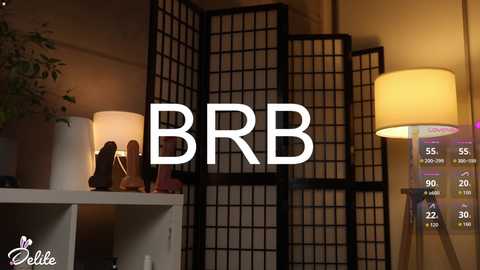 delitevip free recording from 2025-11-10 14:20:00