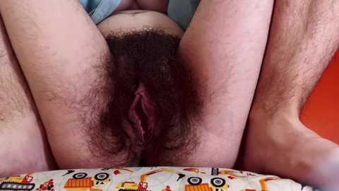 thickforest free recording from 