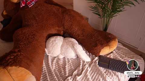 bella__donne free recording from 2025-11-11 21:58:00