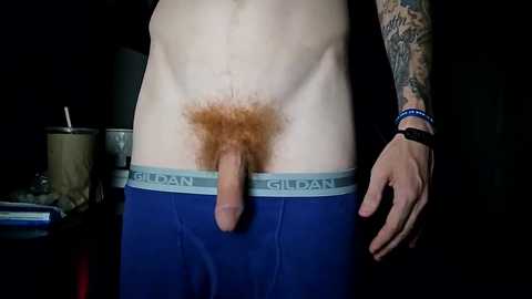 bigwhited2115 free recording from 