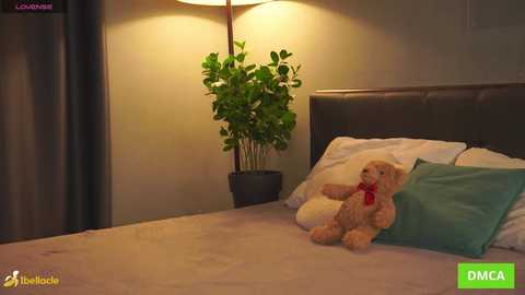 bellacle free recording from 