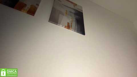 angel_from_sky free recording from 2025-11-13 13:39:00