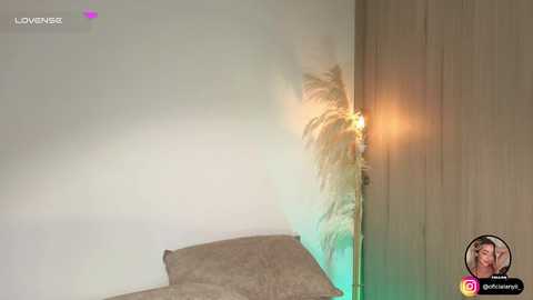 addison_baker free recording from 2025-11-15 03:00:00