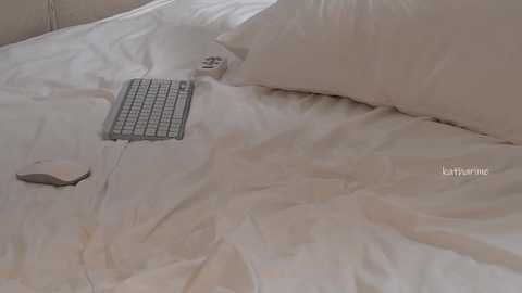 kathariine free recording from 2025-11-18 03:59:00