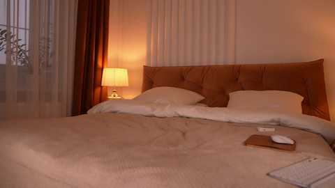 roxy_blue_eyed_ free recording from 2025-11-18 12:10:00