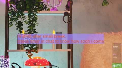 lissa_meooow free recording from 2025-11-19 08:47:00