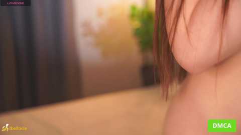 bellacle free recording from 