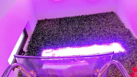 hotfallingdevil free recording from 2025-11-20 09:20:00