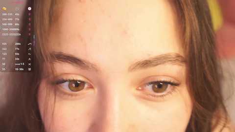 kissiekat free recording from 