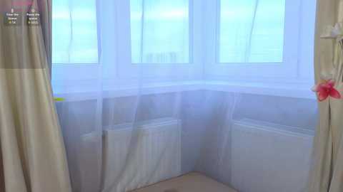 lizbethbiers free recording from 2025-11-20 09:54:00