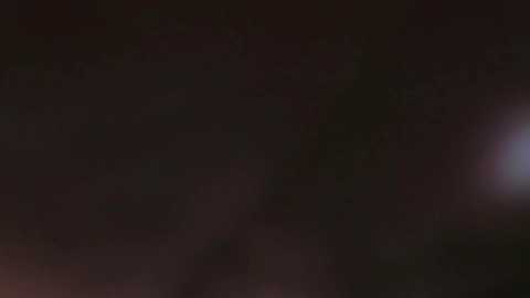 _lyna free recording from 2025-11-23 04:19:00