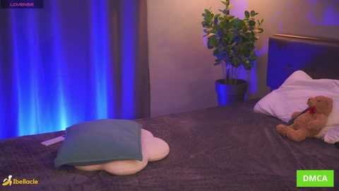 bellacle free recording from 