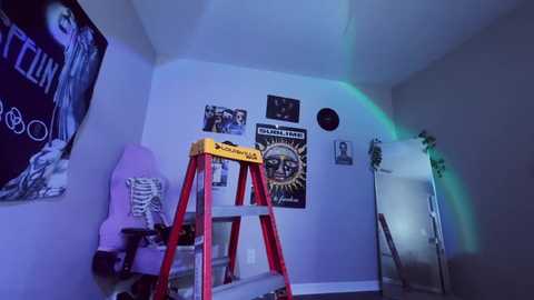 hexivu free recording from 