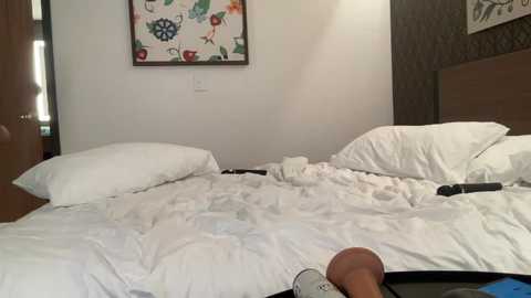 meganashleyy212 free recording from 2025-11-23 05:43:00