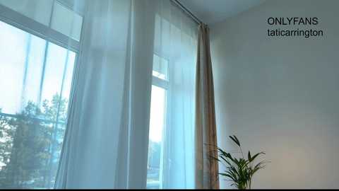 tatti_1 free recording from 2025-12-08 00:13:00