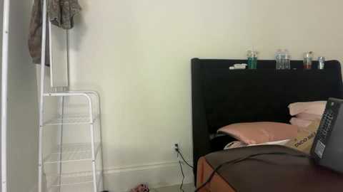 kateharperr free recording from 2025-11-26 02:49:00