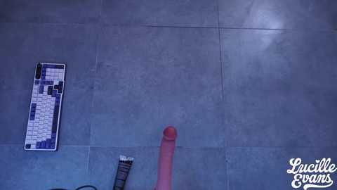 lucille_evans free recording from 2025-11-26 07:35:00