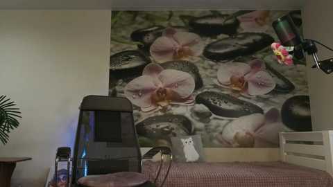 jennycutey free recording from 2025-11-27 05:51:00