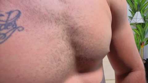 golden_boys_ggh free recording from 2025-11-28 11:32:00