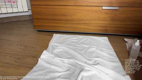 honey_sunshine free recording from 2025-11-28 14:16:00