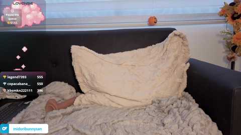 midori__san free recording from 