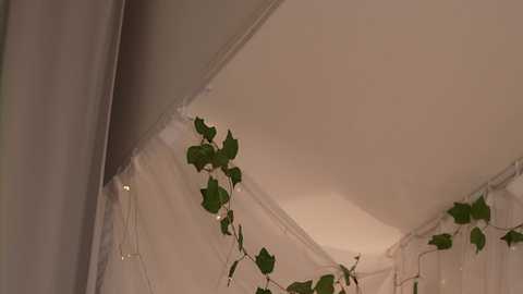 my_stella_ free recording from 2025-11-30 21:33:00