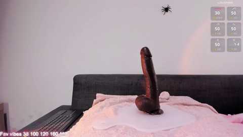 elimeowy free recording from 