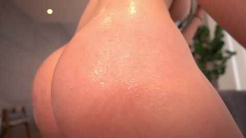 bailey_eilish free recording from 