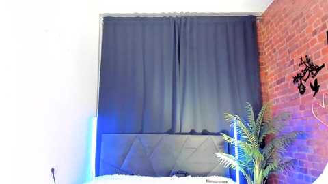 krispy_girl_star free recording from 2025-12-03 13:42:00