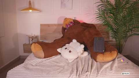 bella__donne free recording from 2025-12-04 16:19:00