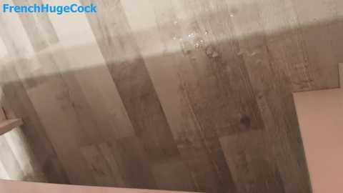 french_huge_cock free recording from 2025-12-05 09:31:00